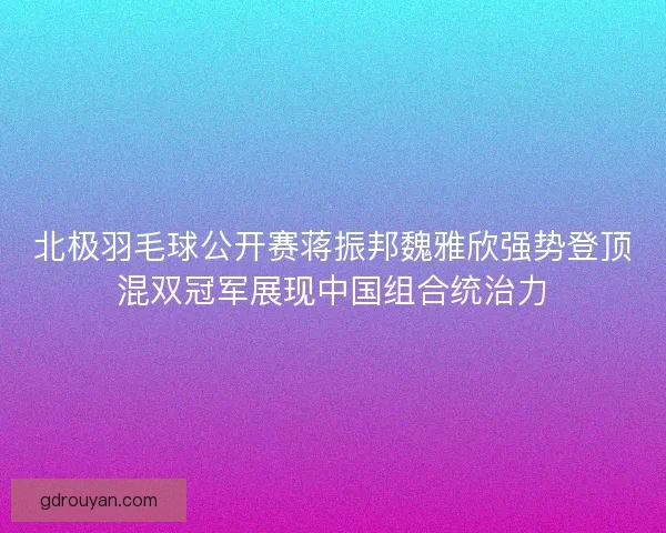 北极羽毛球公开赛蒋振邦魏雅欣强势登顶混双冠军展现中国组合统治力
